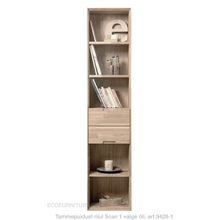 Lae piltide sirvija Riiul Scan 1 9428