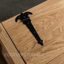 Lae piltide sirvija Hoiukast Box 01 1901