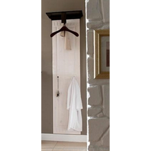 Lae piltide sirvija  Riidenagi männipuust